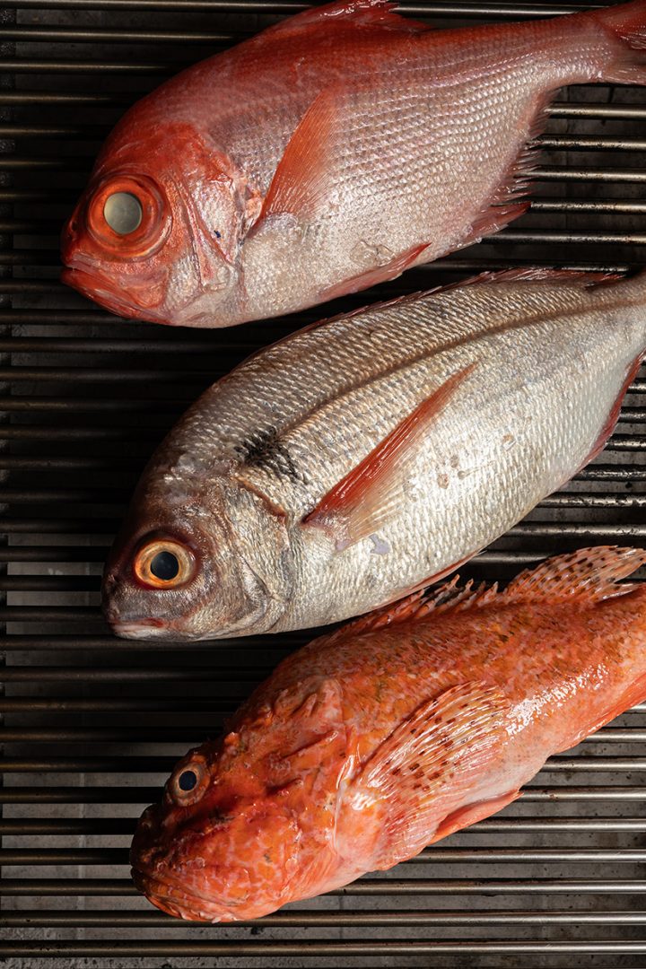 mamut pescado local | Restaurante Salitre